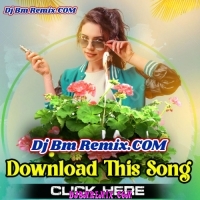 Mon Meteche Mon Moyurir (Mita Chaterjee Bengali Modern Adhunik Songs Quality Pop Bass Humming Mix 2024) Dj RK Remix